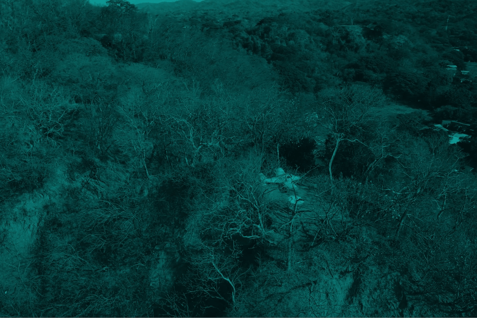 Flying over site of airplane emergency landing